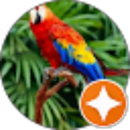 Review From Anang abdullah syarif