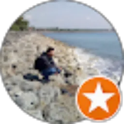 Review From Hendrik Sandi