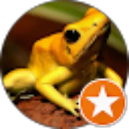 Review From achank 07
