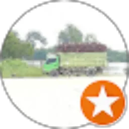 Review From Trisno