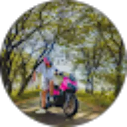 Review From Randy Fernando