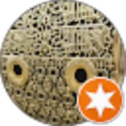 Review From Mas Djoko