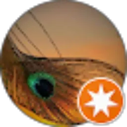Review From As Mega