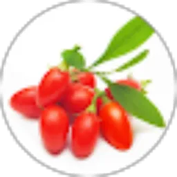 Review From GOJI Channel