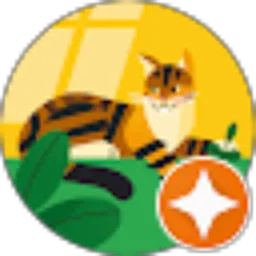 Review From yus midar