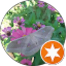 Review From Mue