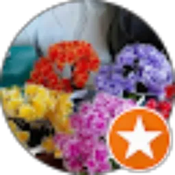 Review From Revica Kho