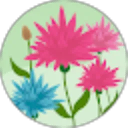 Review From Marchellin (Chel)