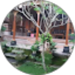 Review From Handy Pranata