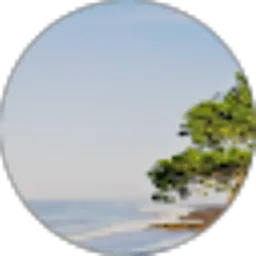 Review From RIBUD - DobleBos