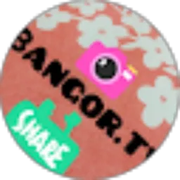 Review From Bangor. TV