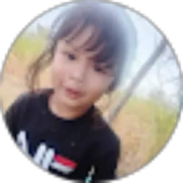 Review From Desy 123