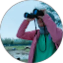 Review From Y.D. Susanti