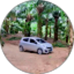 Review From Rudi Susanto