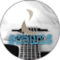 Review From Bronis Official