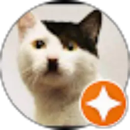 Review From ADOLF CATLER