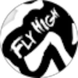 Review From Willy Hadinata (FLY HIGH)