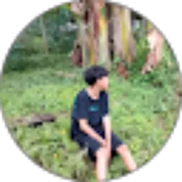 Review From Raffi Amirul