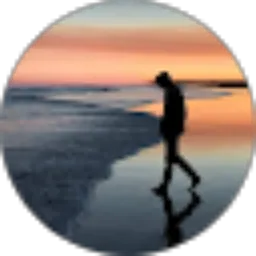 Review From Gopartner Id