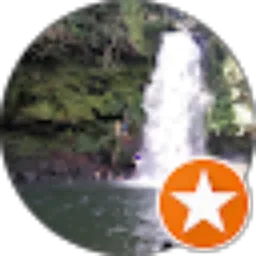 Review From Joni Lle