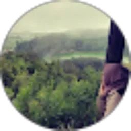 Review From dev deviii