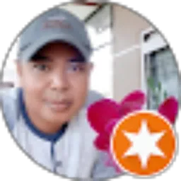 Review From Rio Wibisono