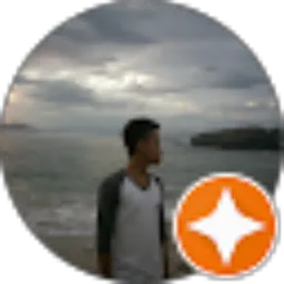 Review From Salman Alfarisi Hafid