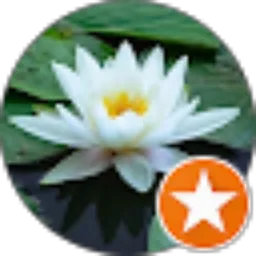 Review From Jono