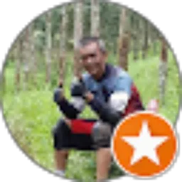 Review From Zamroni Makaramah