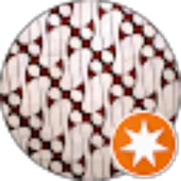 Review From rebel rebel