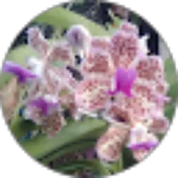 Review From KBT_ Juhaya