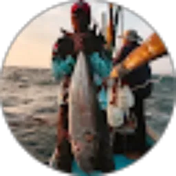 Review From Angler Situbende