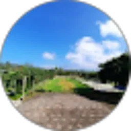 Review From Enjang Budiana