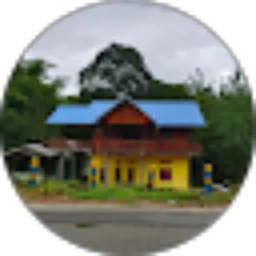 Review From Petrus Sasior