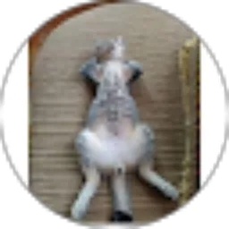 Review From PiPOSS_