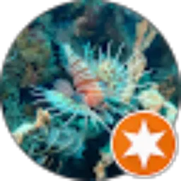 Review From Dive Stories of Sunu fam
