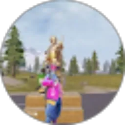Review From Tom 12
