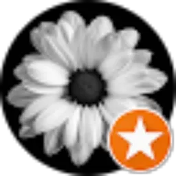 Review From MUHAMMAD ARFAN