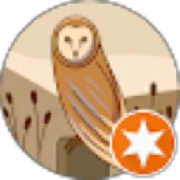 Review From Ys Sy