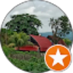 Review From Fenny Sri Kurniawati