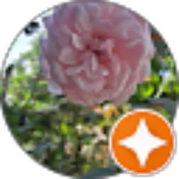 Review From MOHAMAD ZAMANI