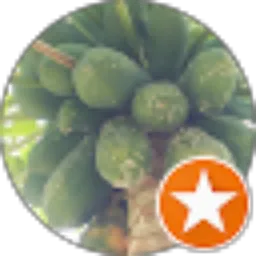 Review From Erwin Jaelani Akbar