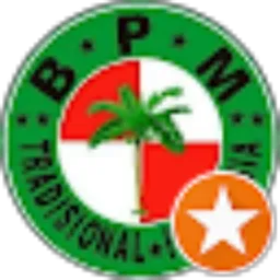 Review From bpm traindo