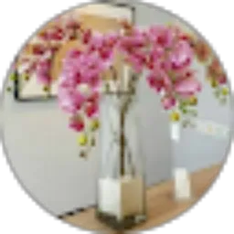 Review From Dini Ferlia
