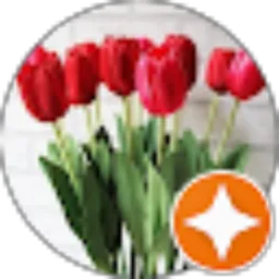 Review From Diana Situmorang