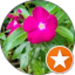 Review From Yublina Adela Lenama