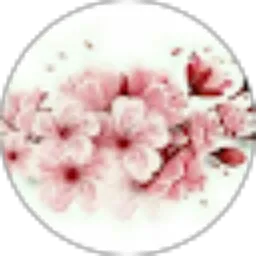 Review From Alin Chan