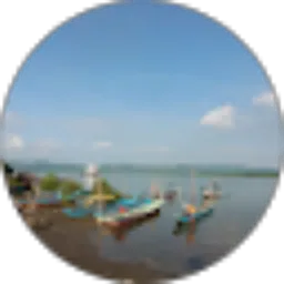 Review From Andreas Ardi Rinanto