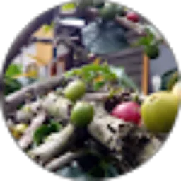Review From Jhondillinger