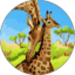 Review From Bimo Bimo